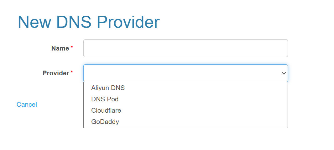 选择 DNS 服务商类型